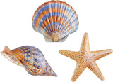 Collections Etc Coastal Seashell Metal Wall Decor - Set of 3