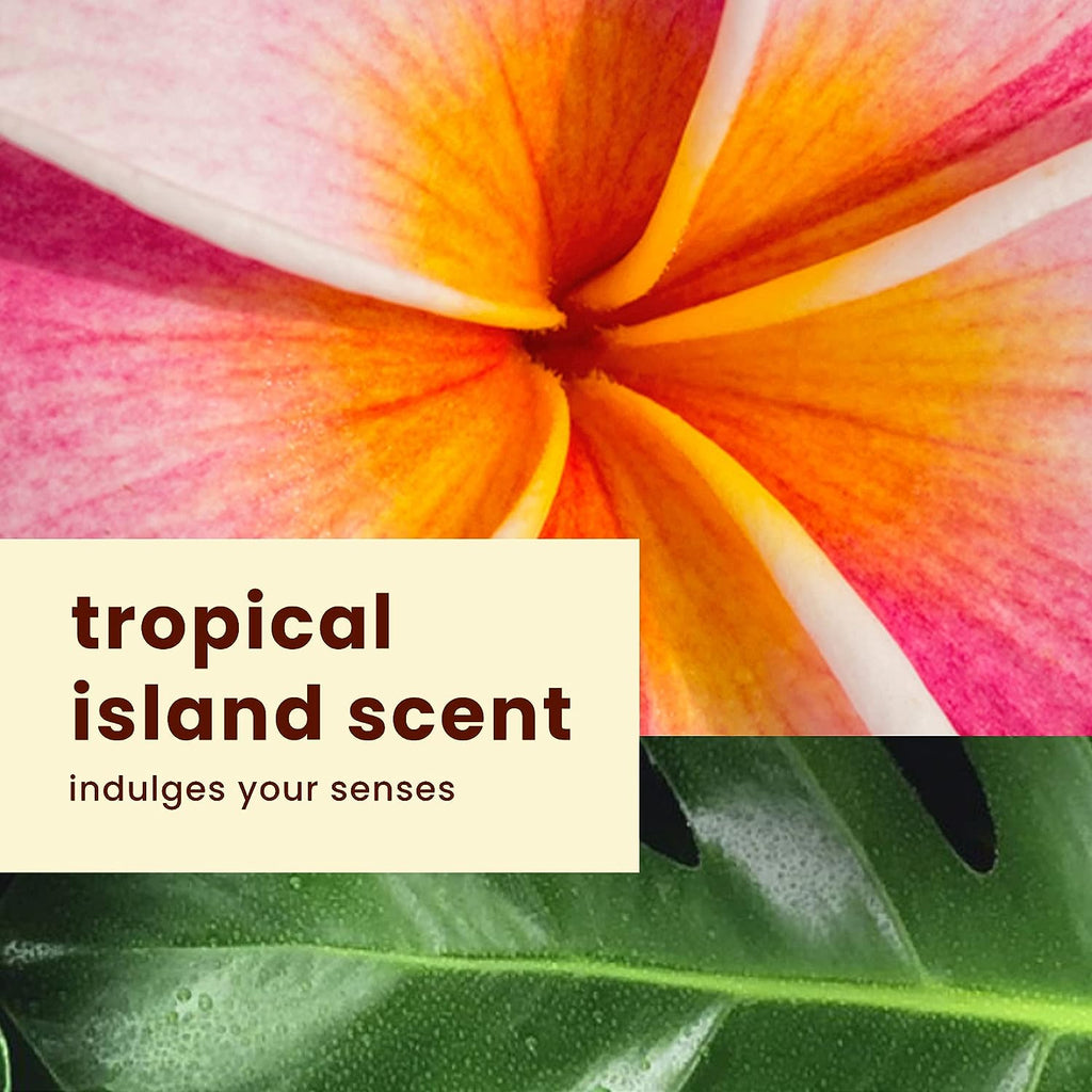 Hawaiian Tropic, SPF 30 Broad Spectrum Sunscreen, Silk Hydration Weightless Sunscreen Pack with 6oz Sunscreen Lotion and 1.7oz Sunscreen Face Lotion