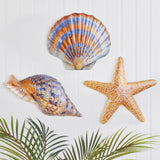 Collections Etc Coastal Seashell Metal Wall Decor - Set of 3