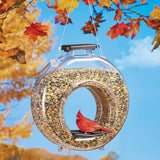 Crystal Clear Canteen-Style Fly-Through Bird Feeder: Unobstructed Views for Bird Watching Delight